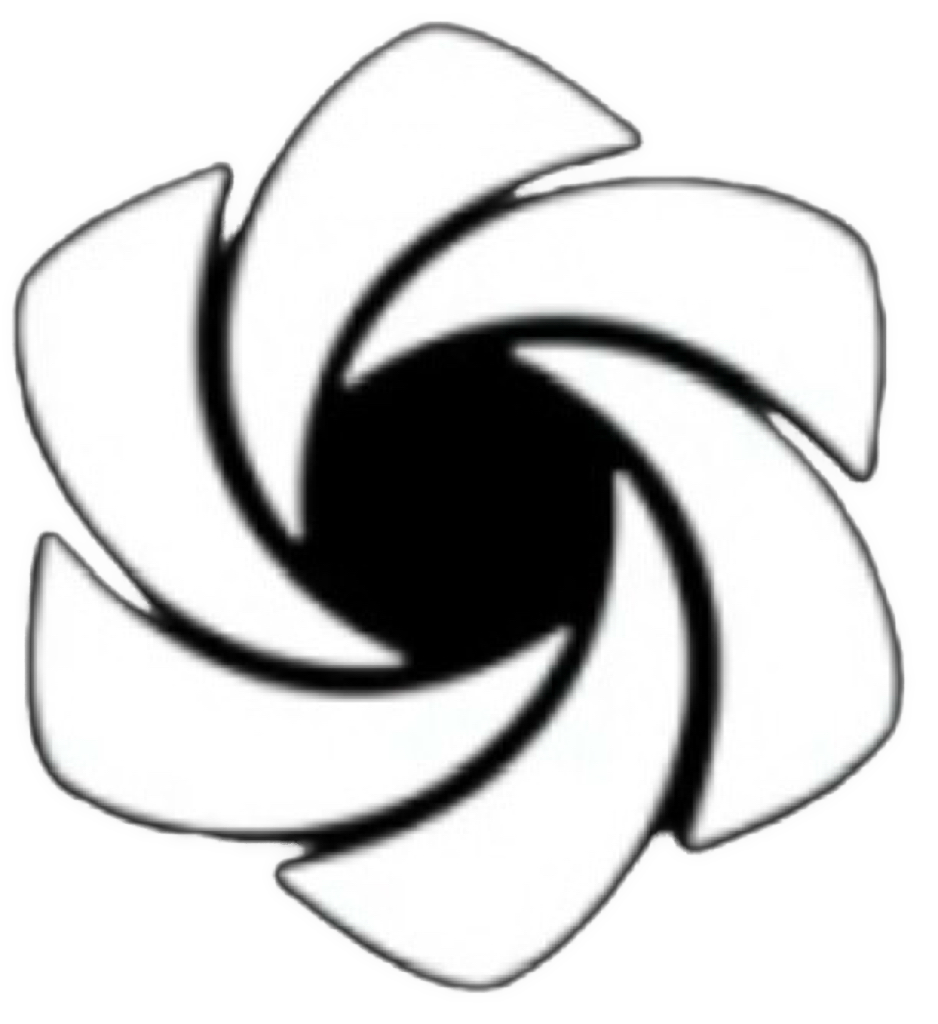 An enhanced graphic of a black hexagon surrounded by six biomorphic white isosceles triangles where the top of the triangle swirls around, creating an overall 3D petal effect because of the black shadows of different lengths underneath each petal, is used as a bullet point.