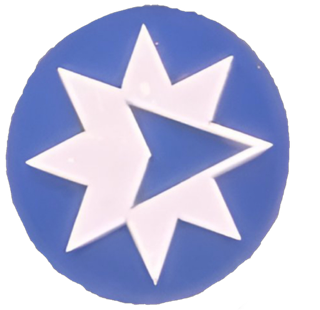An enhanced light blue circle with an interior eight-sided white star, and inside of that is a light blue arrowhead pointing to the right, is used as a bullet point.