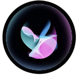 An enhanced black circle with a pink and blue swirl in the center is used as a bullet point.