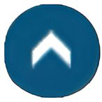 An enhanced cutout of a dark blue circle with a white up arrow in the center that jumps user to the top of the page.